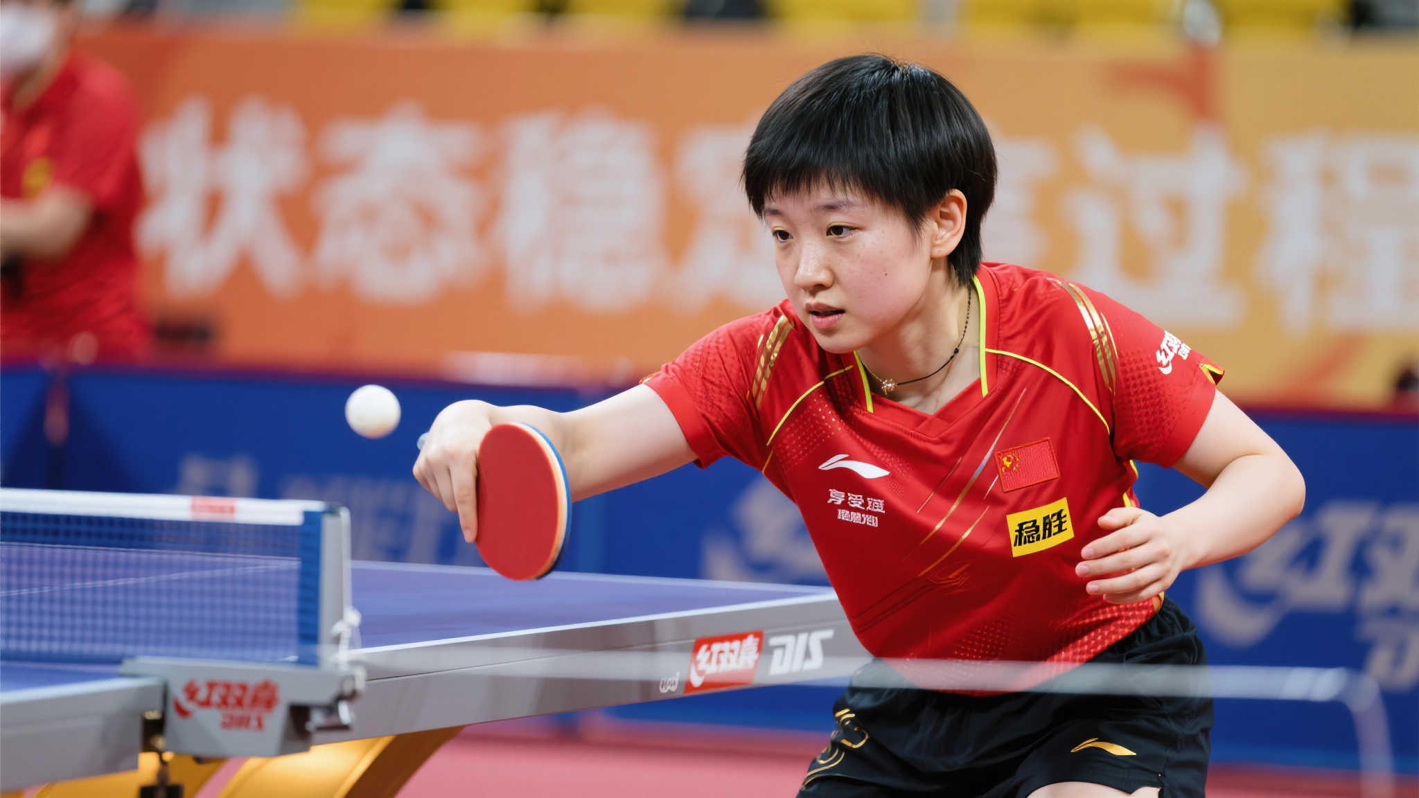 的小心谨慎 的小心谨慎