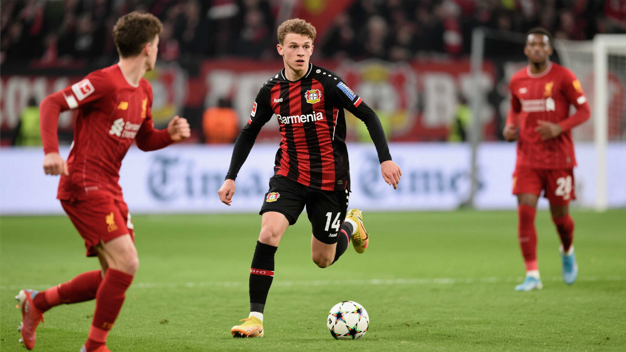 坛的两大豪 坛的两大豪