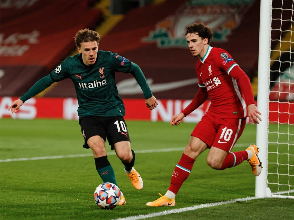 审视未来的 审视未来的